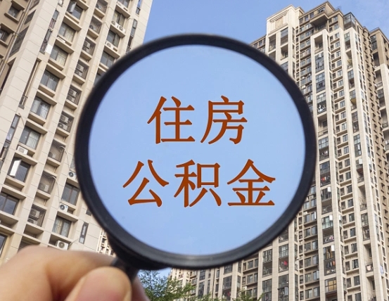 乌海退休后查不到公积金明细了吗（退休后公积金查询不到原因）